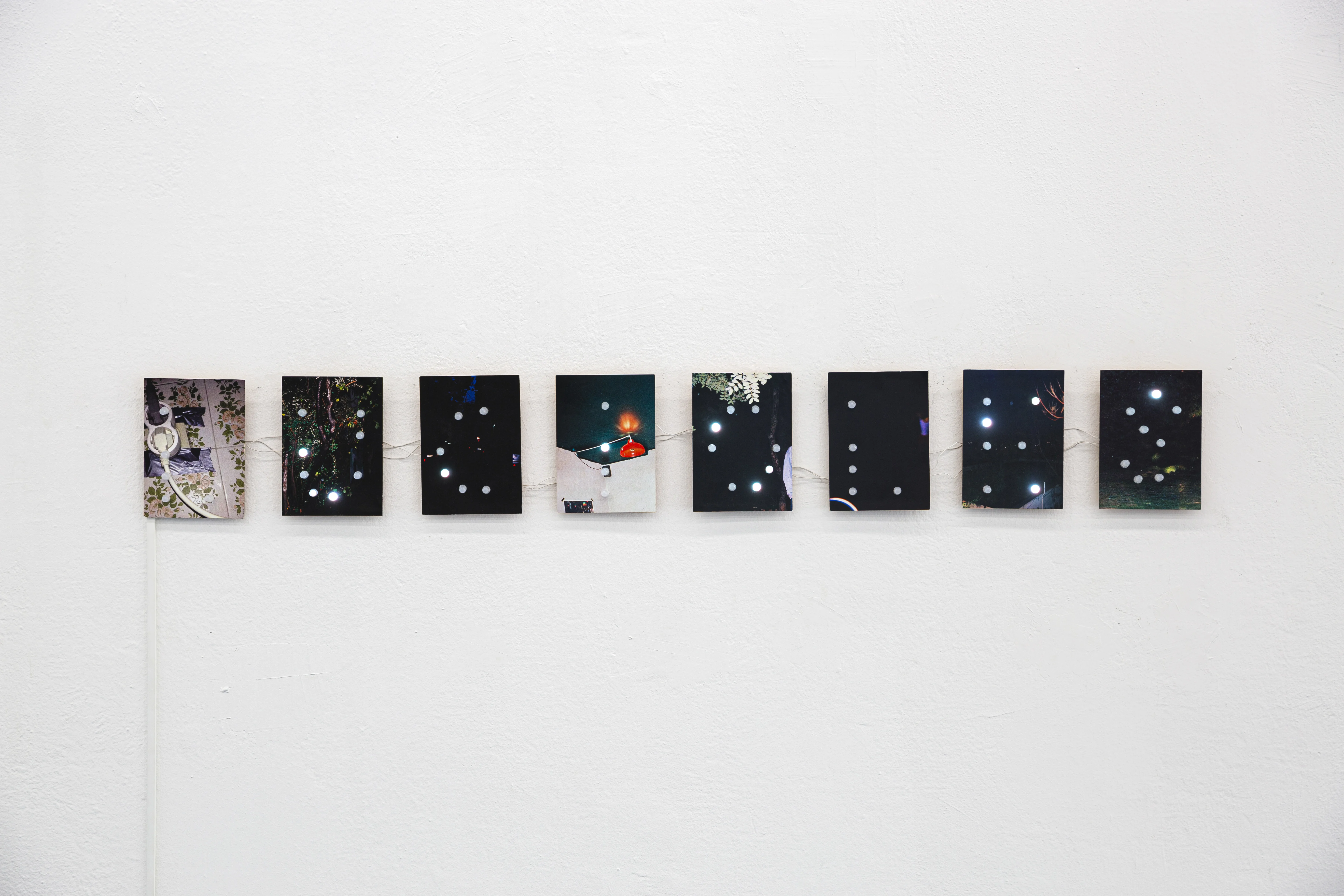 Fireflies have survived