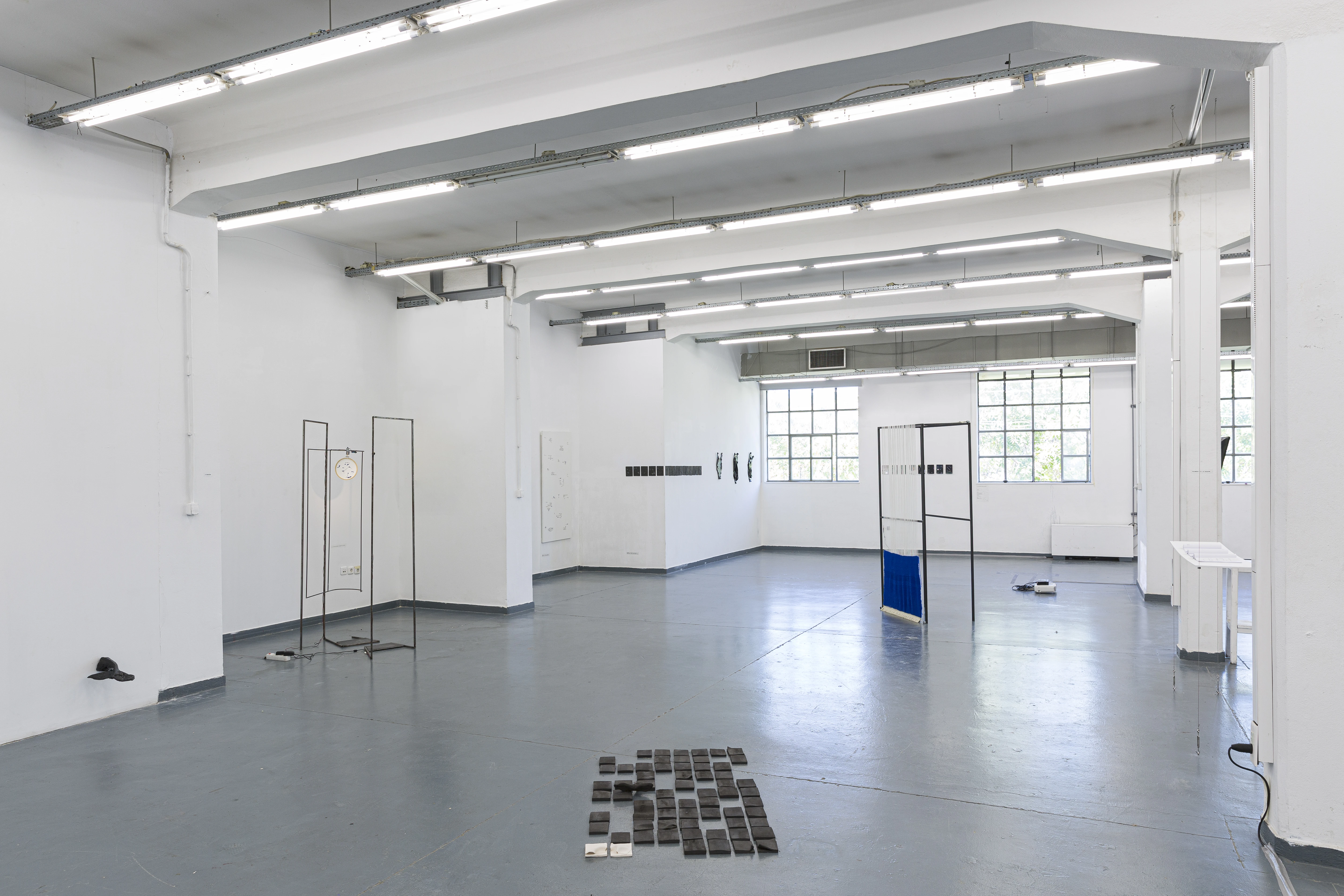 How to dive if you're afraid of the whale